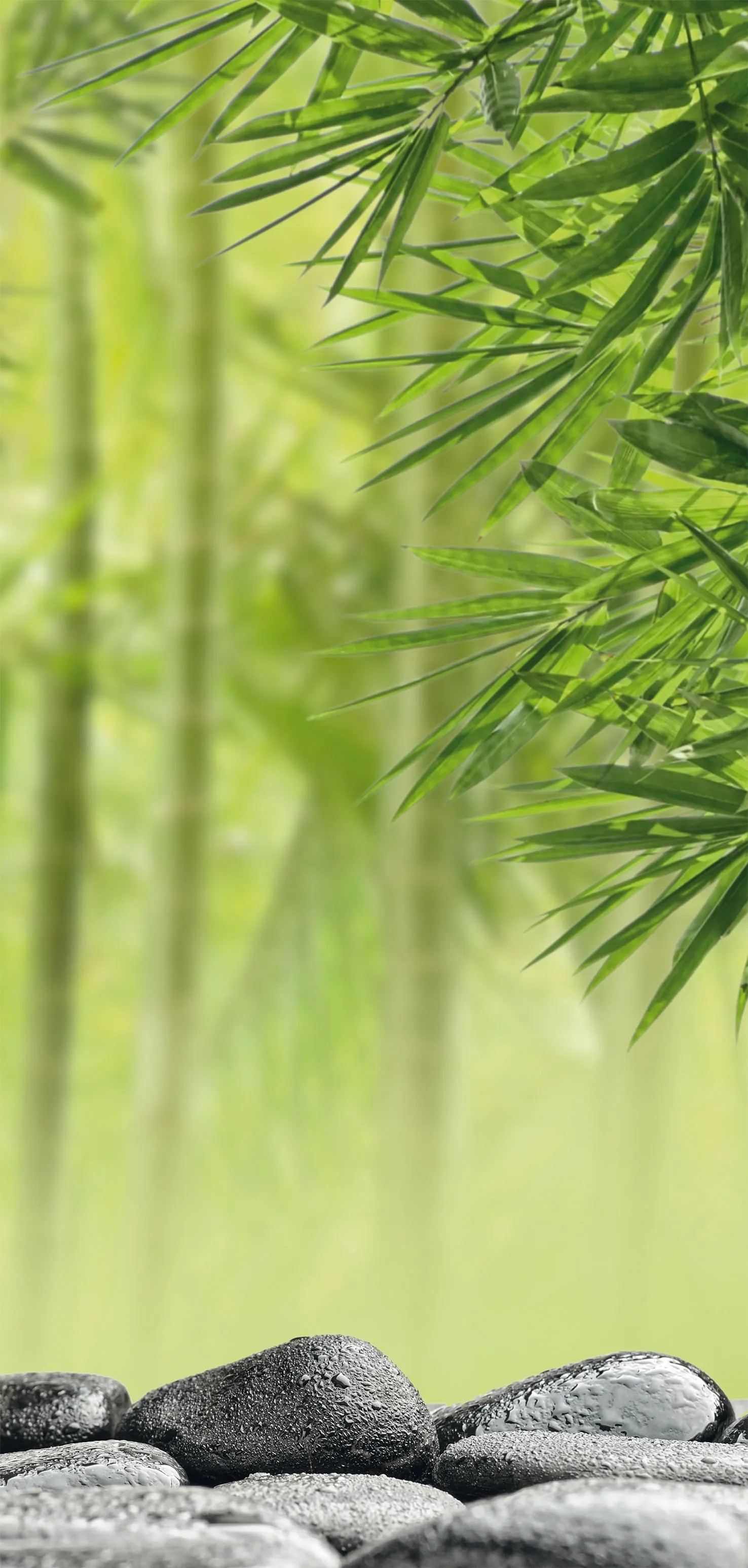 Sanotechnik Dekorativní sprchový panel Sanowall, wellness P, 125 x 250 cm Sanotechnik Dekorativní sprchový panel Sanowall, wellness P, 125 x 250 cm