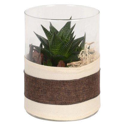 Osázená skleněná váza moderní Osázená skleněná váza moderní