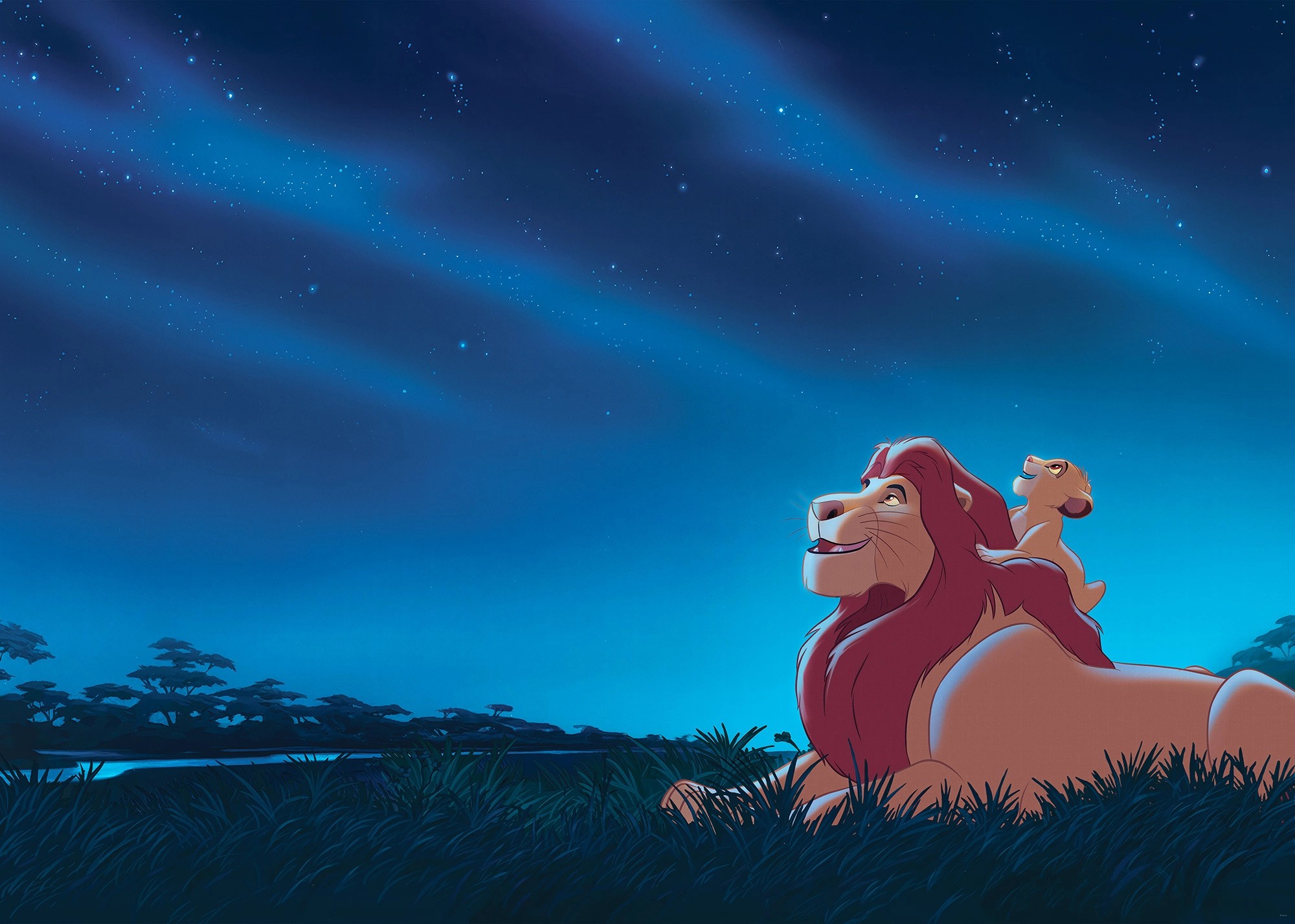 Komar Vliesová fototapeta Disney The Lion King Stargazing 350 x 250 cm Komar Vliesová fototapeta Disney The Lion King Stargazing 350 x 250 cm