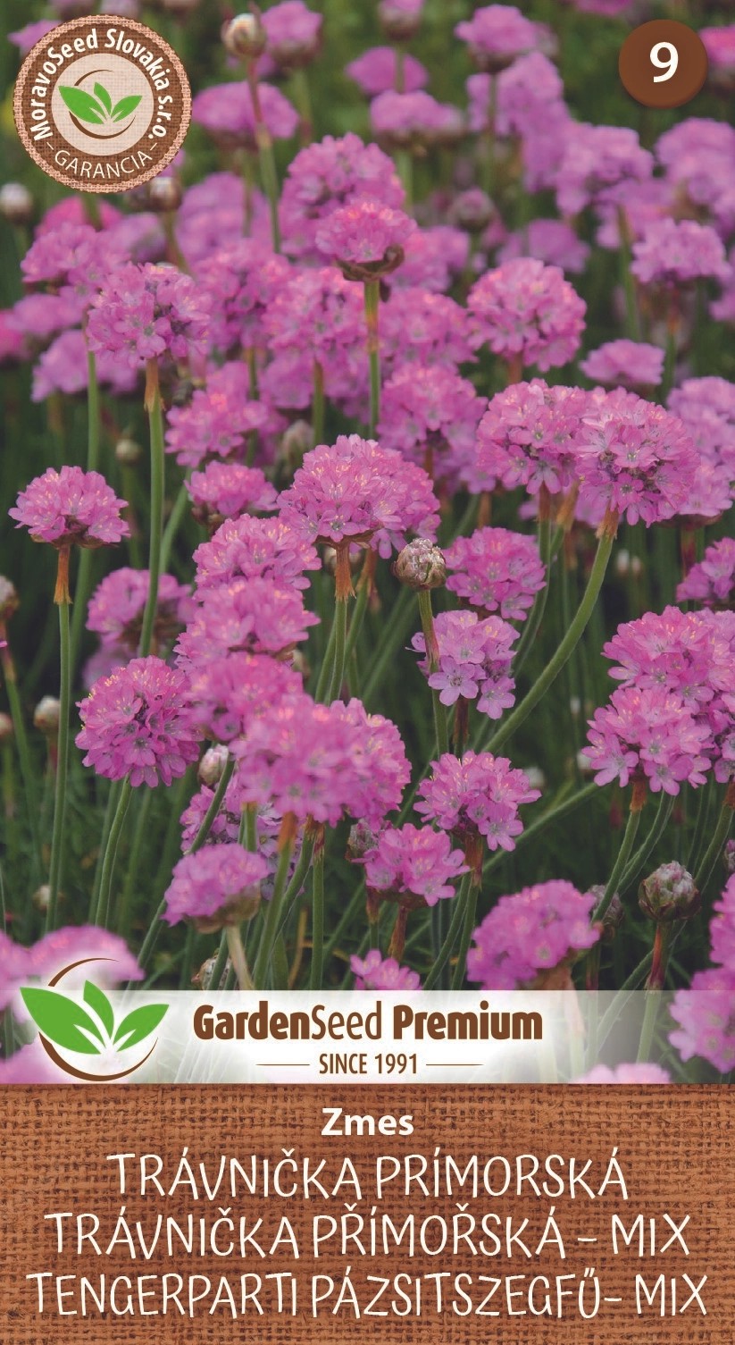 GardenSeed Premium Semínka - Trávnička přímořská -mix - směs GardenSeed Premium Semínka - Trávnička přímořská -mix - směs
