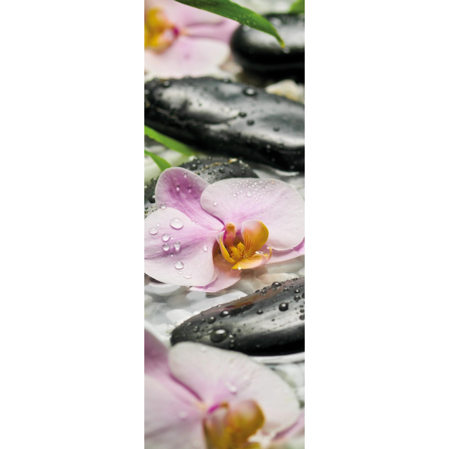 Komar Vliesová fototapeta Wellness 100 x 280 cm