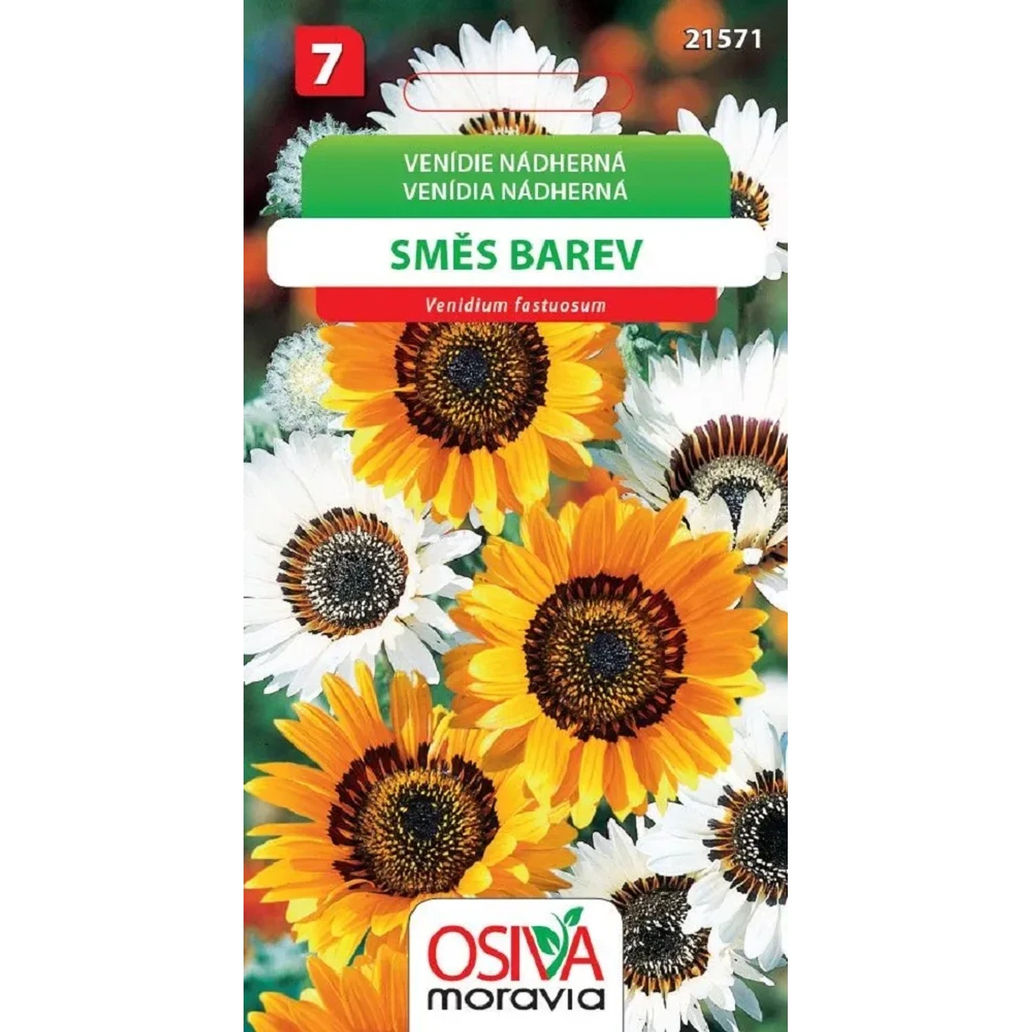 Semínka Venidie nádherná směs barev (Venidium fastuosum)