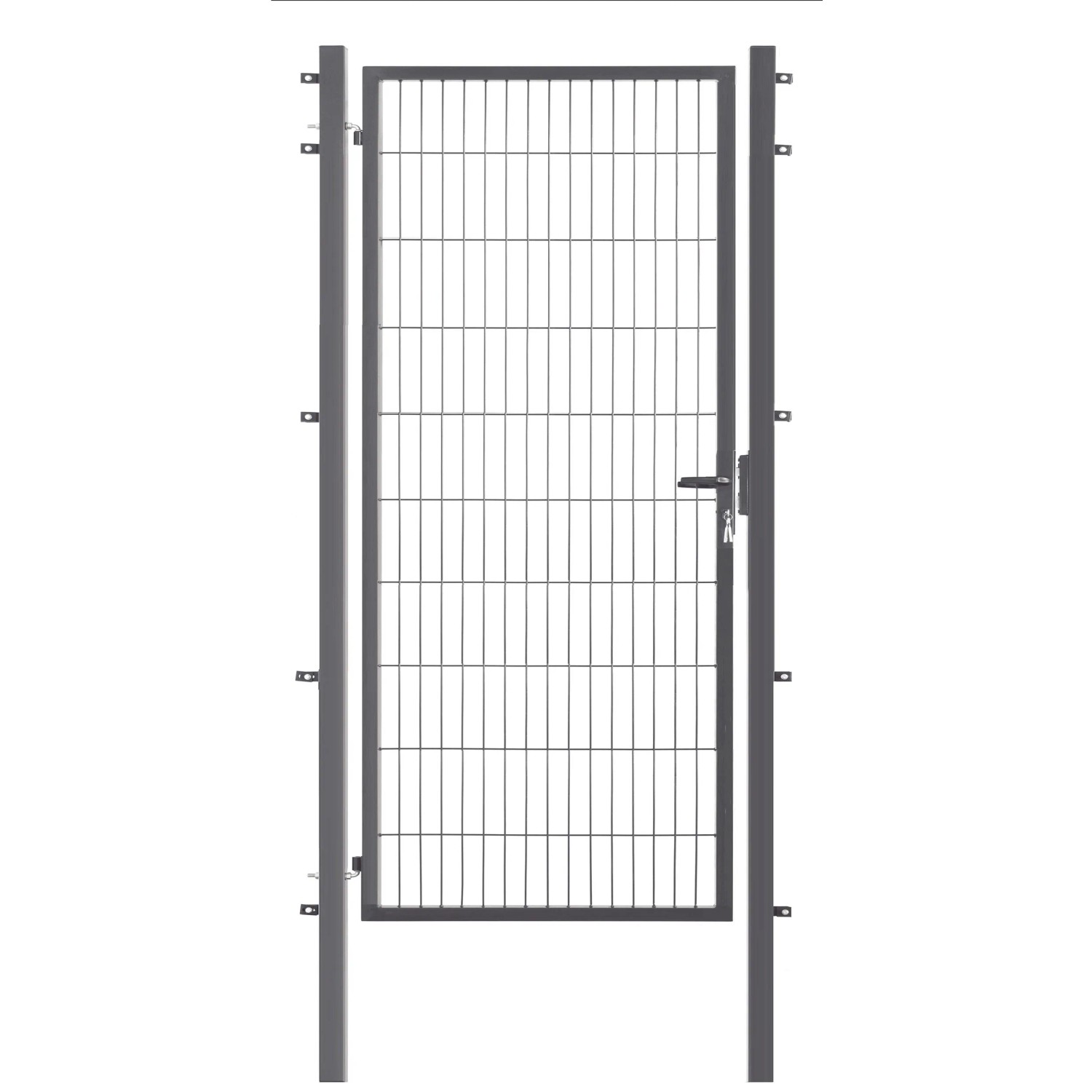 Floraworld Jednokřídlá kovová branka Comfort antracit 200 x 100 cm