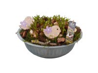 Aranžmá modřence (Muscari) v zinkovém květináči, pr. kv. cca 29 cm