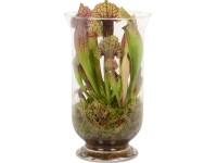 Špirlice ve skleněné nádobě průměr květináče cca 16 cm