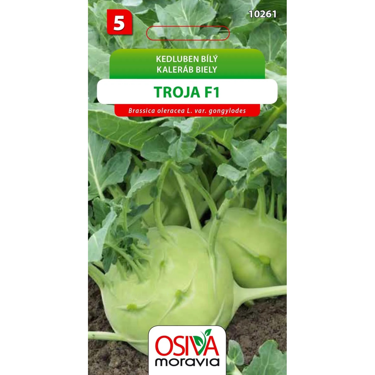 Semínka Kedluben Troja F1 (Brassica oleracea L. var. gongylodes)