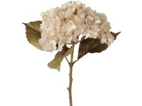 Boltze Umělá rostlina Hortensie přírodní 52 x 25 x 9 cm