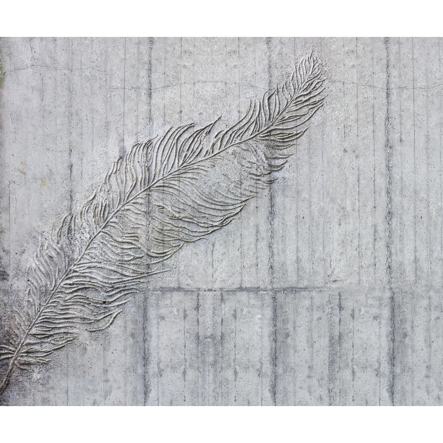 Komar Vliesová fototapeta Betonfeder 300 x 250 cm