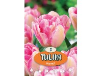 Tulipány 