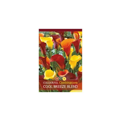 Kala " Cool Breeze Blend"směs