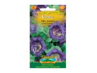 Gardenie Kobea - Vilec pnoucí, fialová