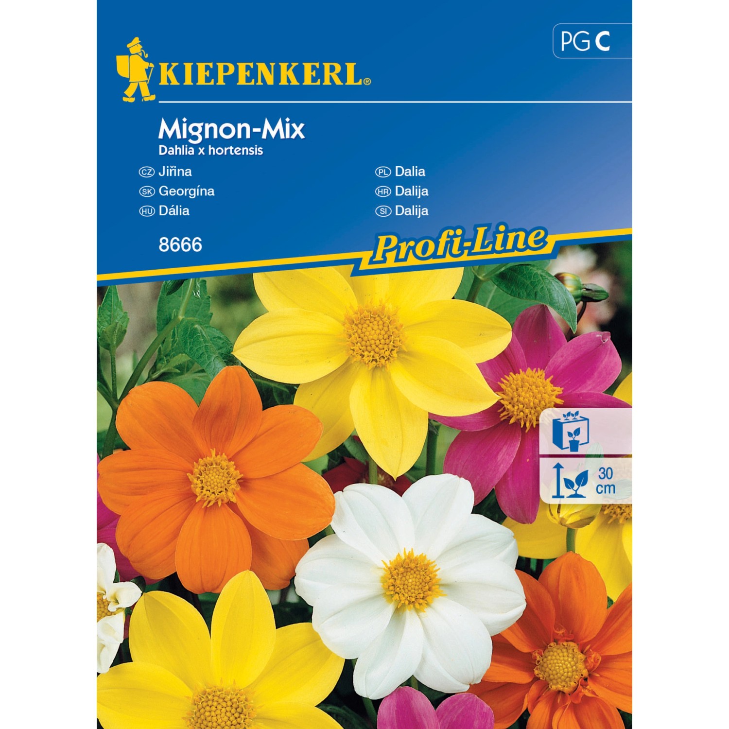 Kiepenkerl Semínka Jiřina Mignon mix