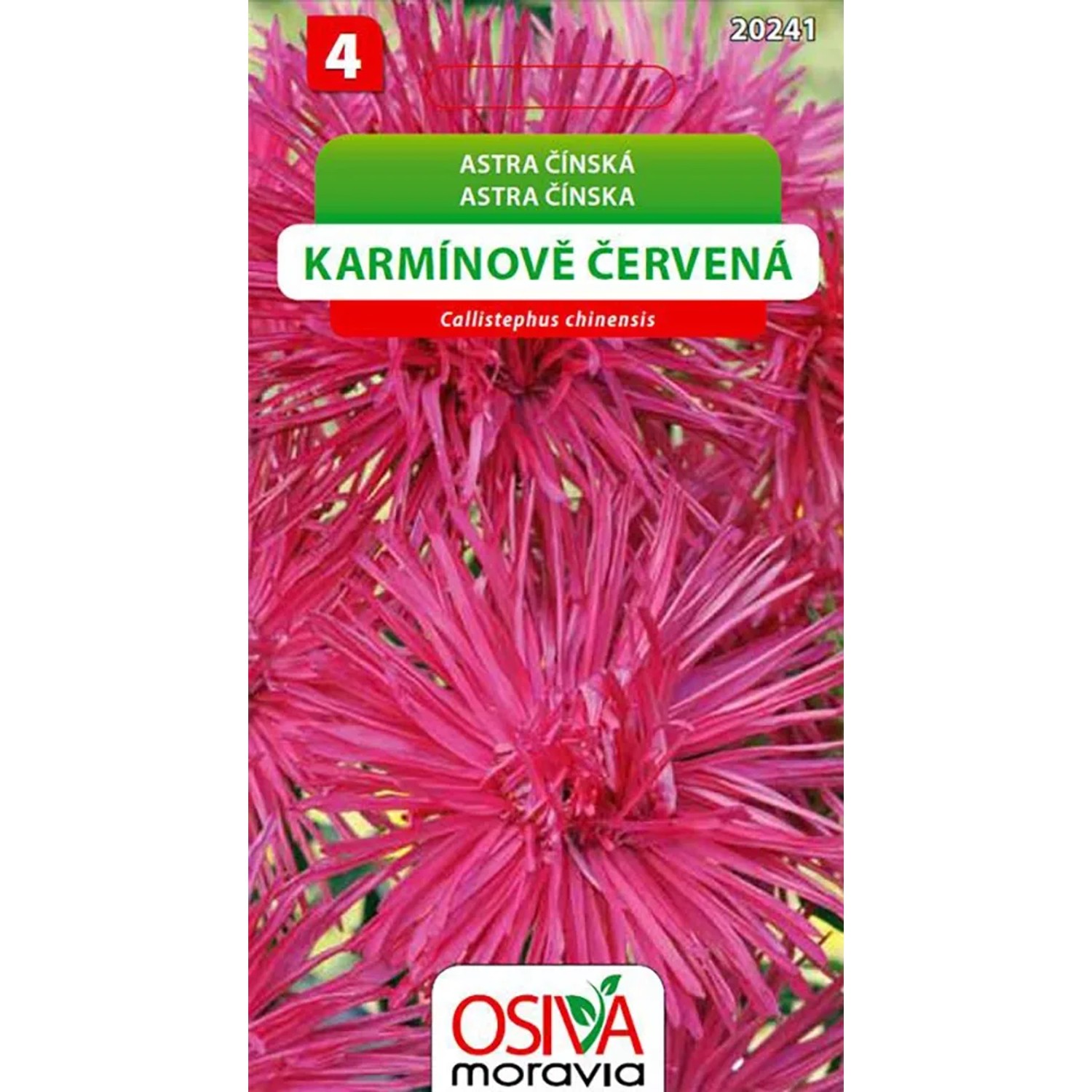OSIVA Moravia Astra čínská - karmínově červená (Callistephus chineasis)