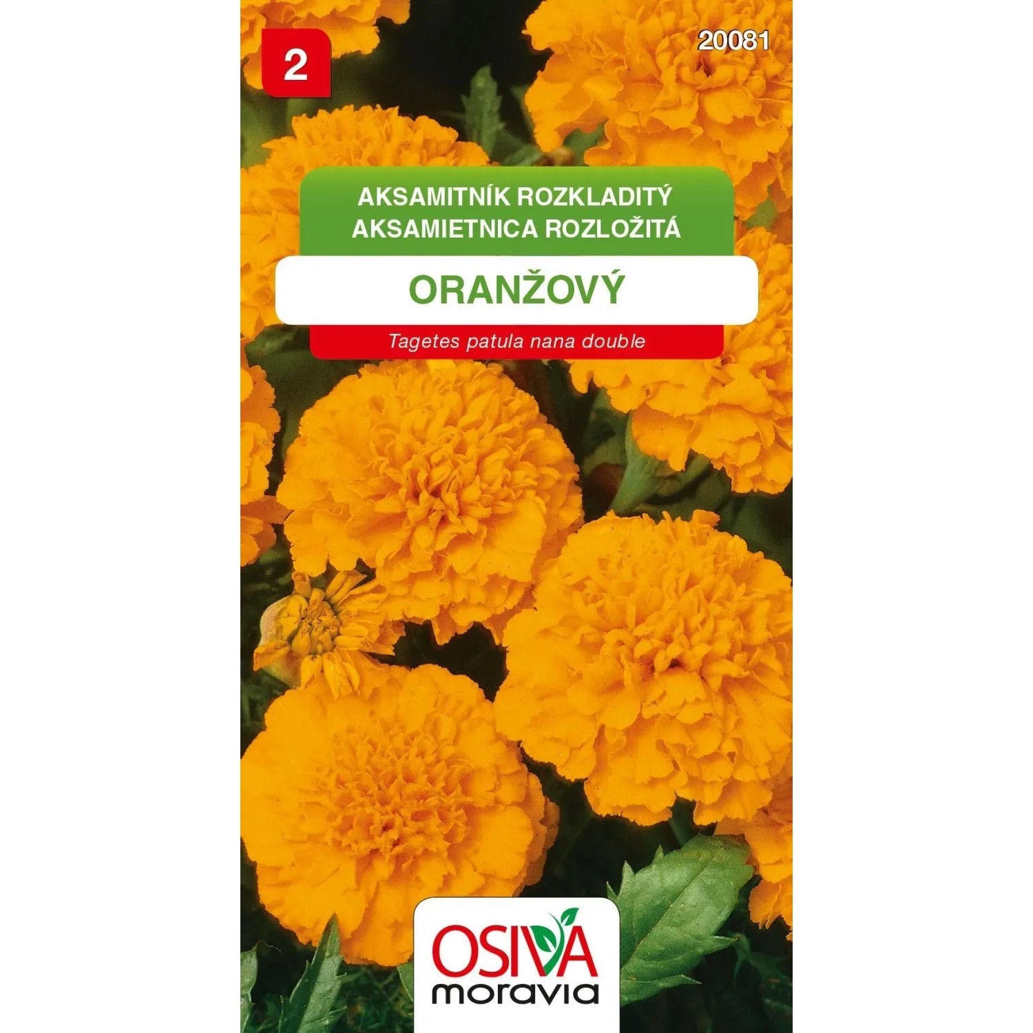 Semínka Aksamitník rozkladitý oranžový (Tagetes patula nana double)