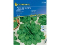 Kiepenkerl Polníček Verte de Cambrai