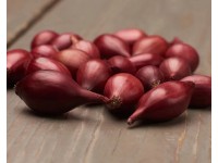 GardenSeed Premium BIO Cibule sazečka Red Baron, 300 g