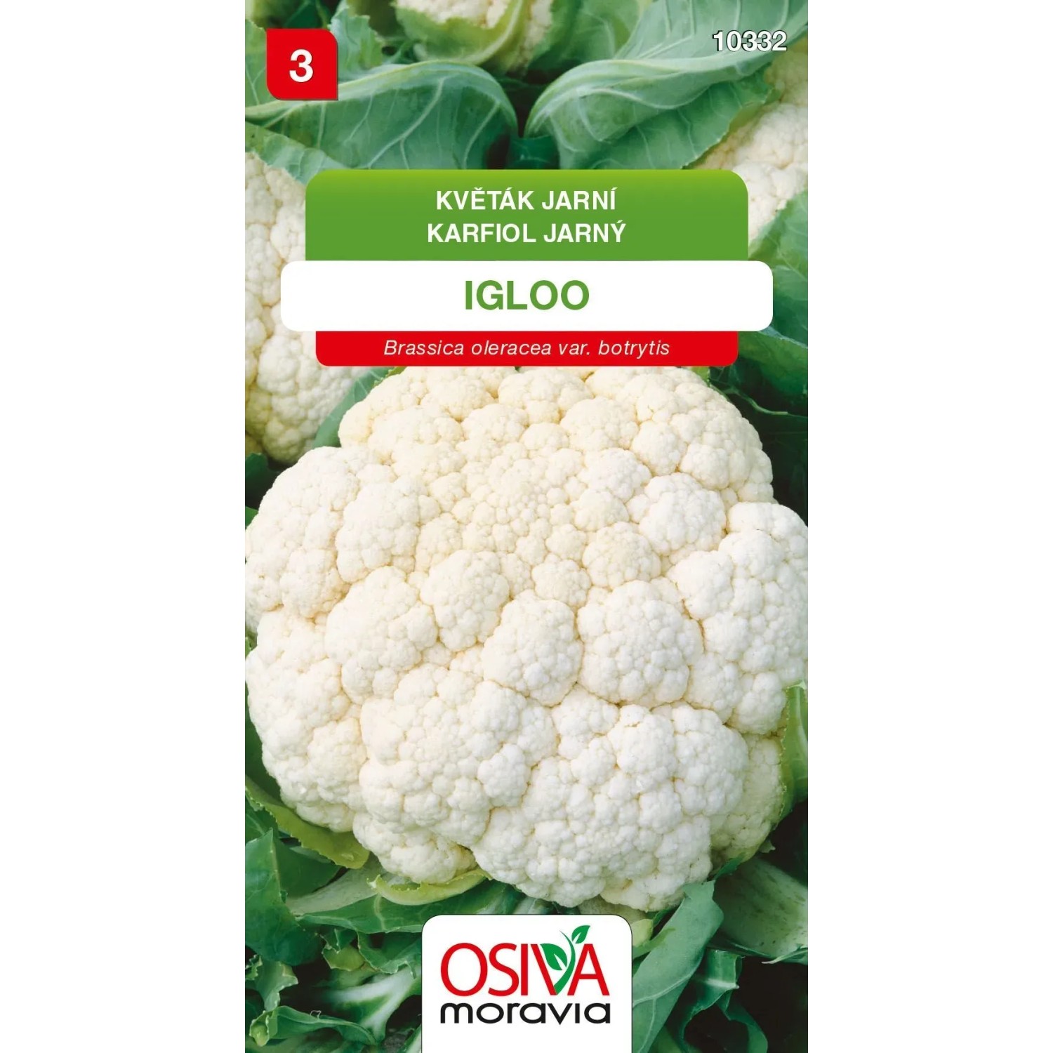 Semínka Květák jarní Igloo (Brassica oleracea var. botrys)