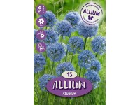 Royal De Ree Holland Květinové cibulky česnek (Allium) 