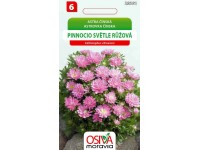 Semínka Astra čínská Pinnocio světle růžová (Callistephus chinensis)