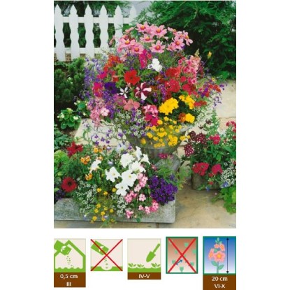 GardenSeed Premium Semínka Letničky balkonové směs 0,5 g