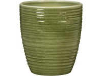 Scheurich Obal na květináč na orchideje Glass Olive, pr. 12,3 x 14 cm