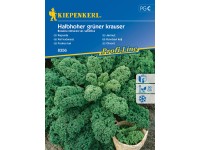Kiepenkerl Semínka Kapusta Halbhoher grüner kraus