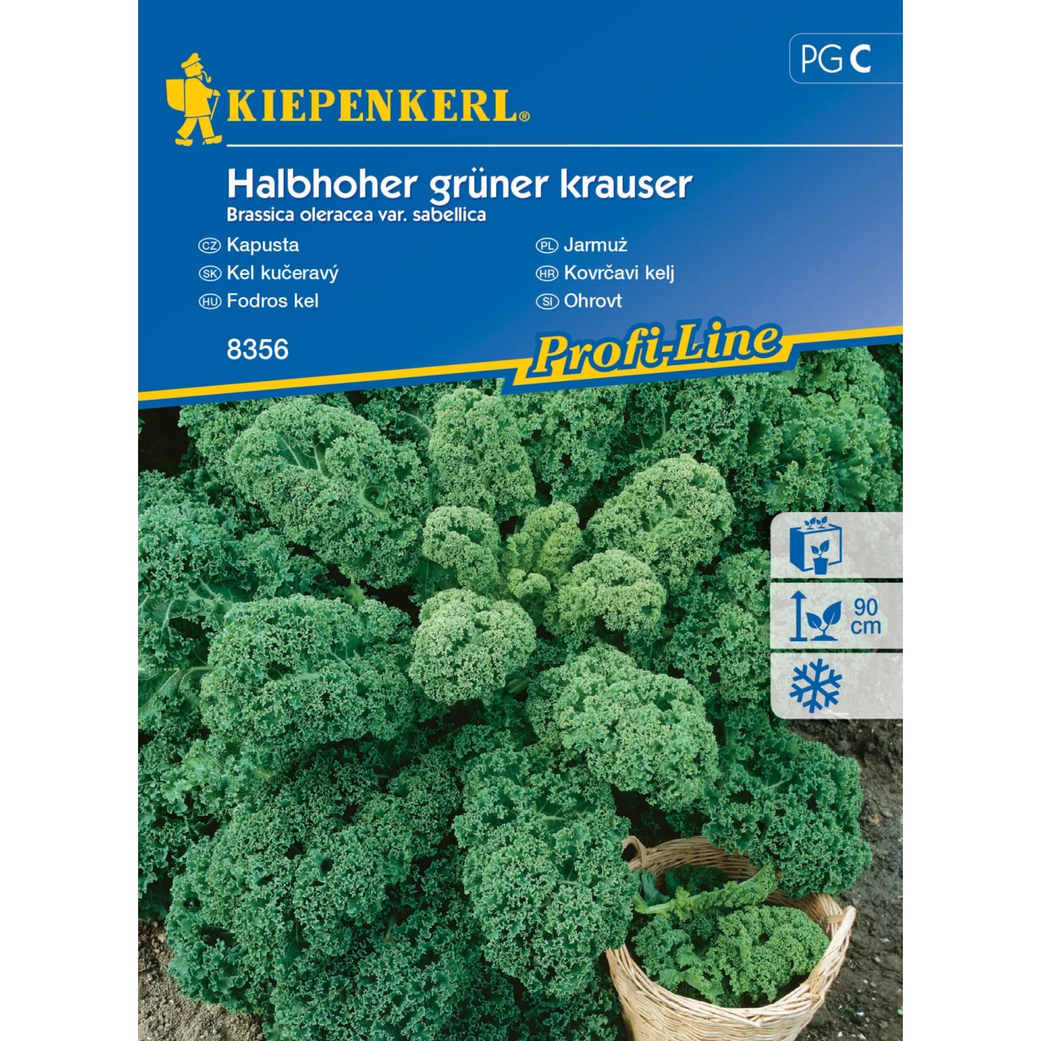 Kiepenkerl Semínka Kapusta Halbhoher grüner kraus