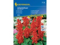 Kiepenkerl Semínka Šalvěj zářivá Johannisfeuer Kiepenkerl Semínka Šalvěj zářivá Johannisfeuer
