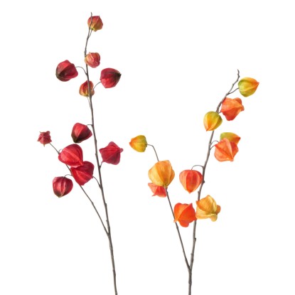 Boltze Home Dekorativní větvička Physalis, 2 varianty