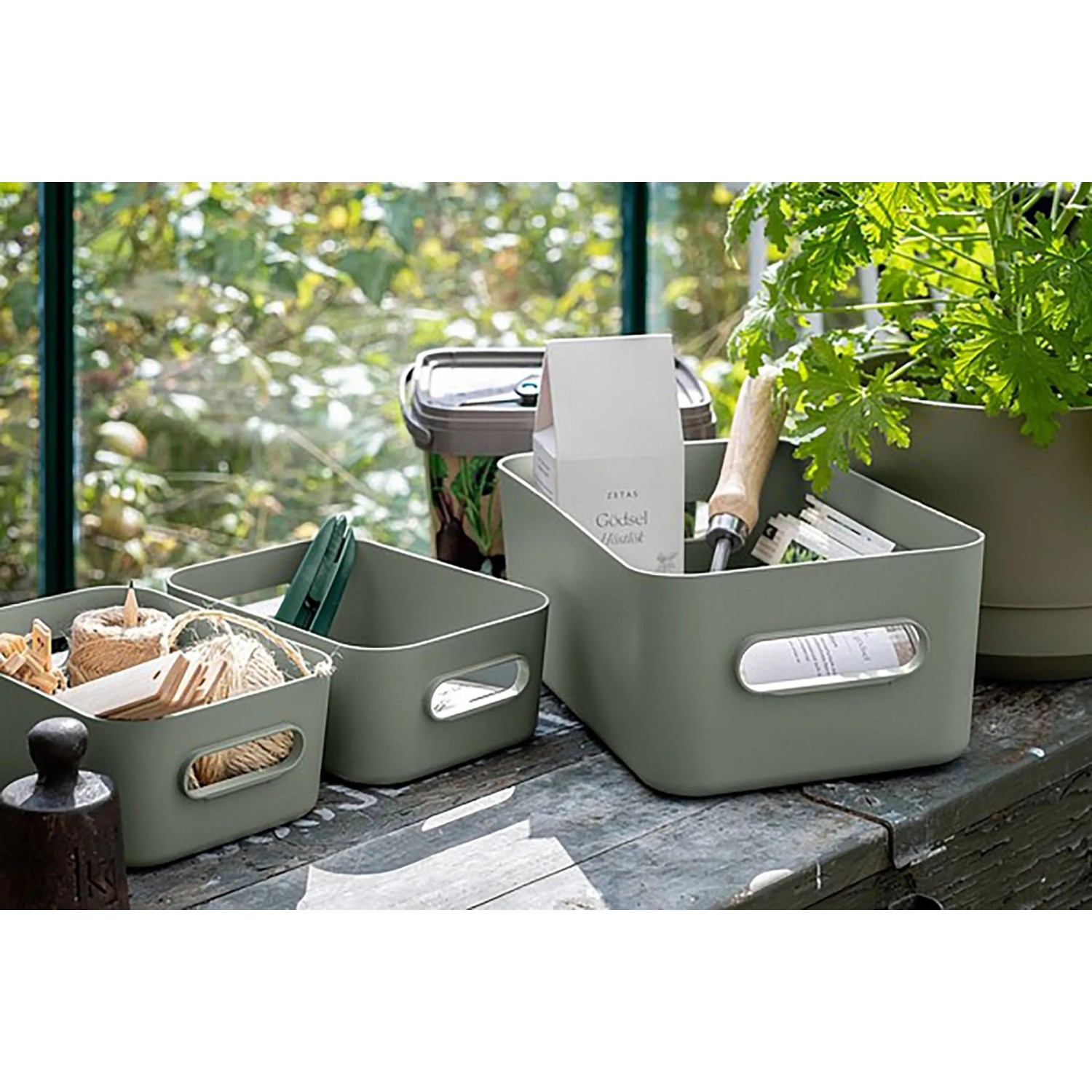 SmartStore Skladovací box Comfort Aquaverde 1,5 l