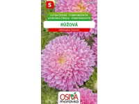 Semínka Astra čínská pomponkovitá růžová (Callistephus chinensis)