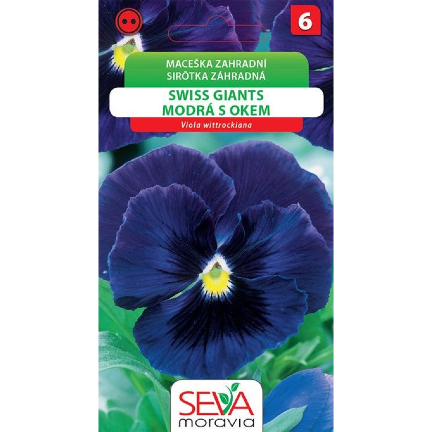 Semínka Maceška zahradní Swiss Giants modrá s okem (Viola wittrockiana)