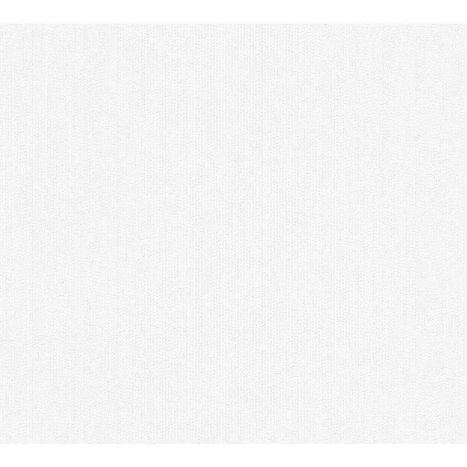 A. S. Creation Přetíratelná vliesová tapeta Meistervlies Creativ bílá 305817