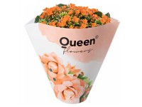 GROW by OBI Kolopejka vděčná (Kalanchoe) jednokvětá oranžová, 20-25 cm, pr.105cm