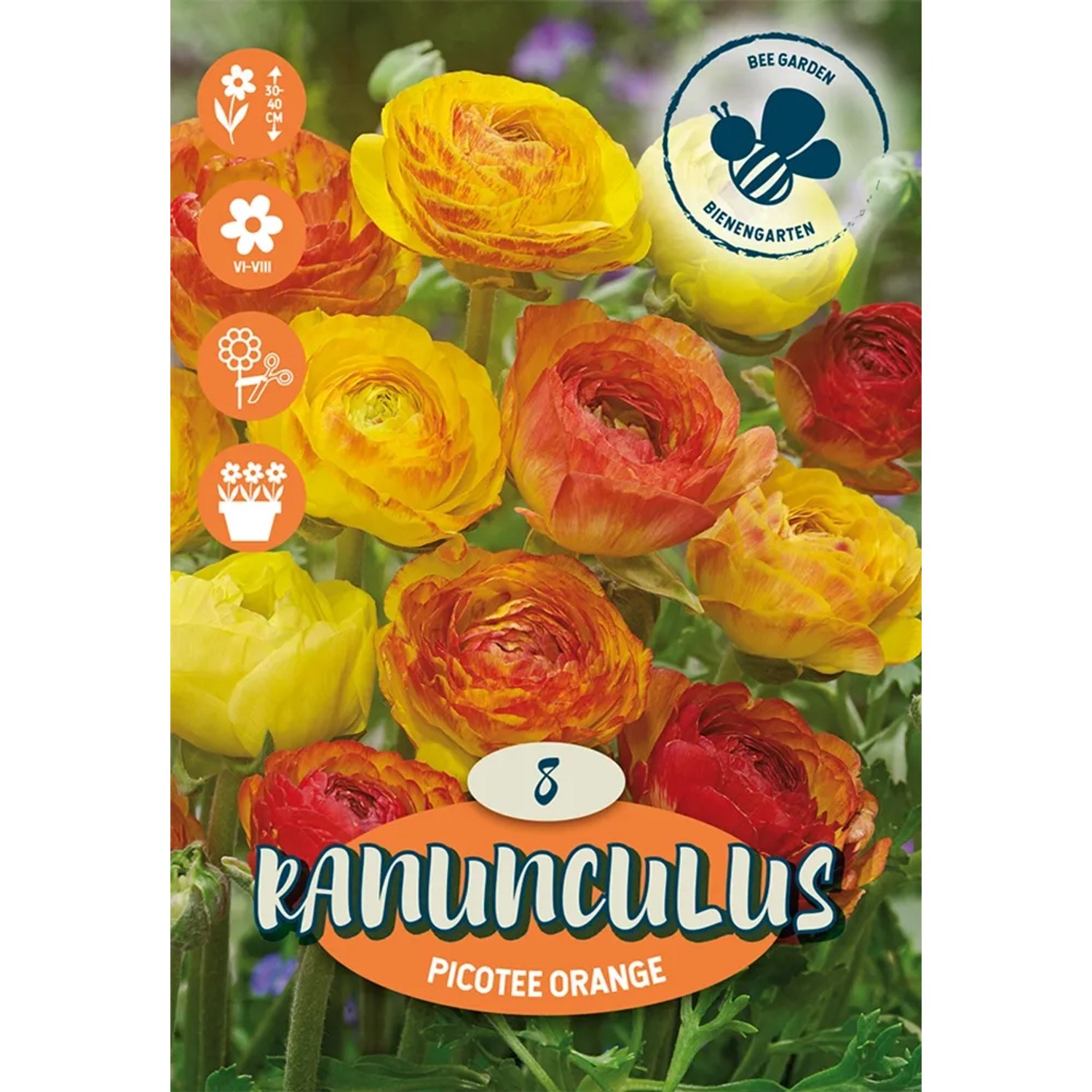 Pryskyřníky Orange oranžové