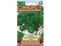 Moravoseed Petržel naťová Astra Moravoseed Petržel naťová Astra