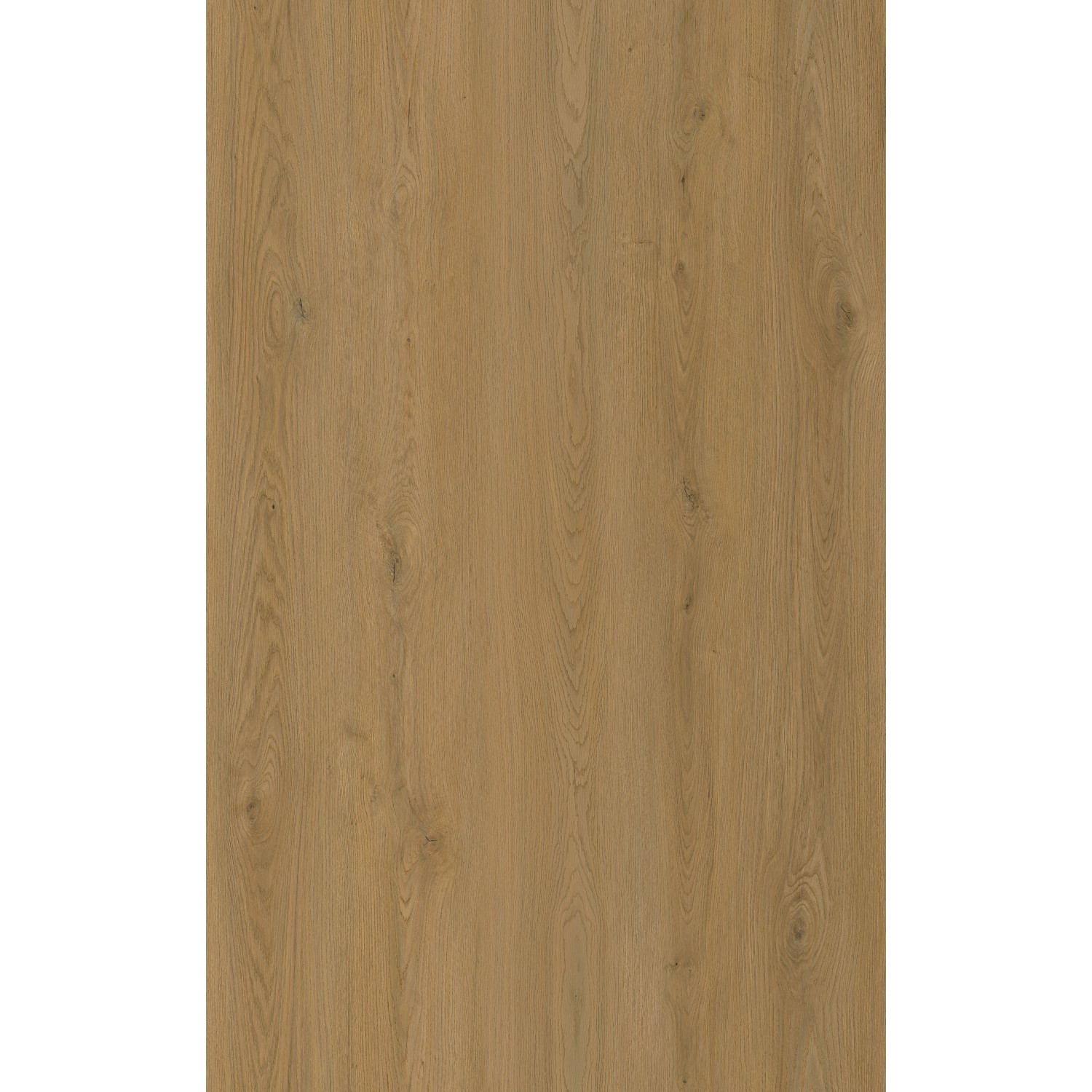 Decoflooring Vinylová podlaha SPC, dub Karlsbad, 180 x 1220 x 3,5 mm