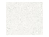 A. S. Creation Přetíratelná vliesová tapeta Meistervlies Creativ bílá 321411 A. S. Creation Přetíratelná vliesová tapeta Meistervlies Creativ bílá 321411