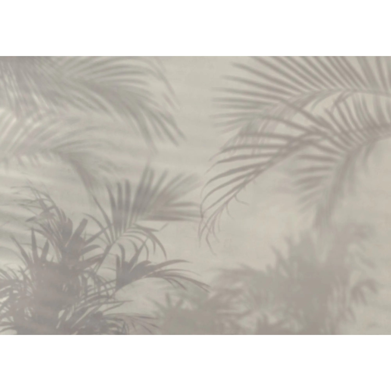 Komar Vliesová fototapeta Lumière 250 x 350 cm