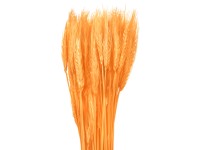NOHEL GARDEN Sušená dekorace Triticum - pšenice oranžová 40 g NOHEL GARDEN Sušená dekorace Triticum - pšenice oranžová 40 g