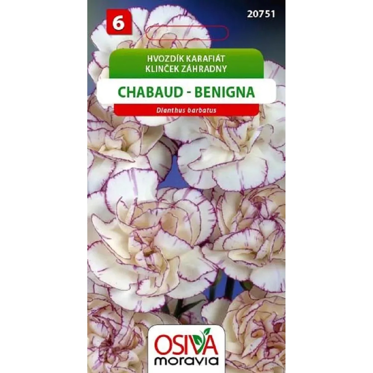 Semínka Hvozdík Karafiát - Chabaud - Benigna (Dianthus caryophyllus)