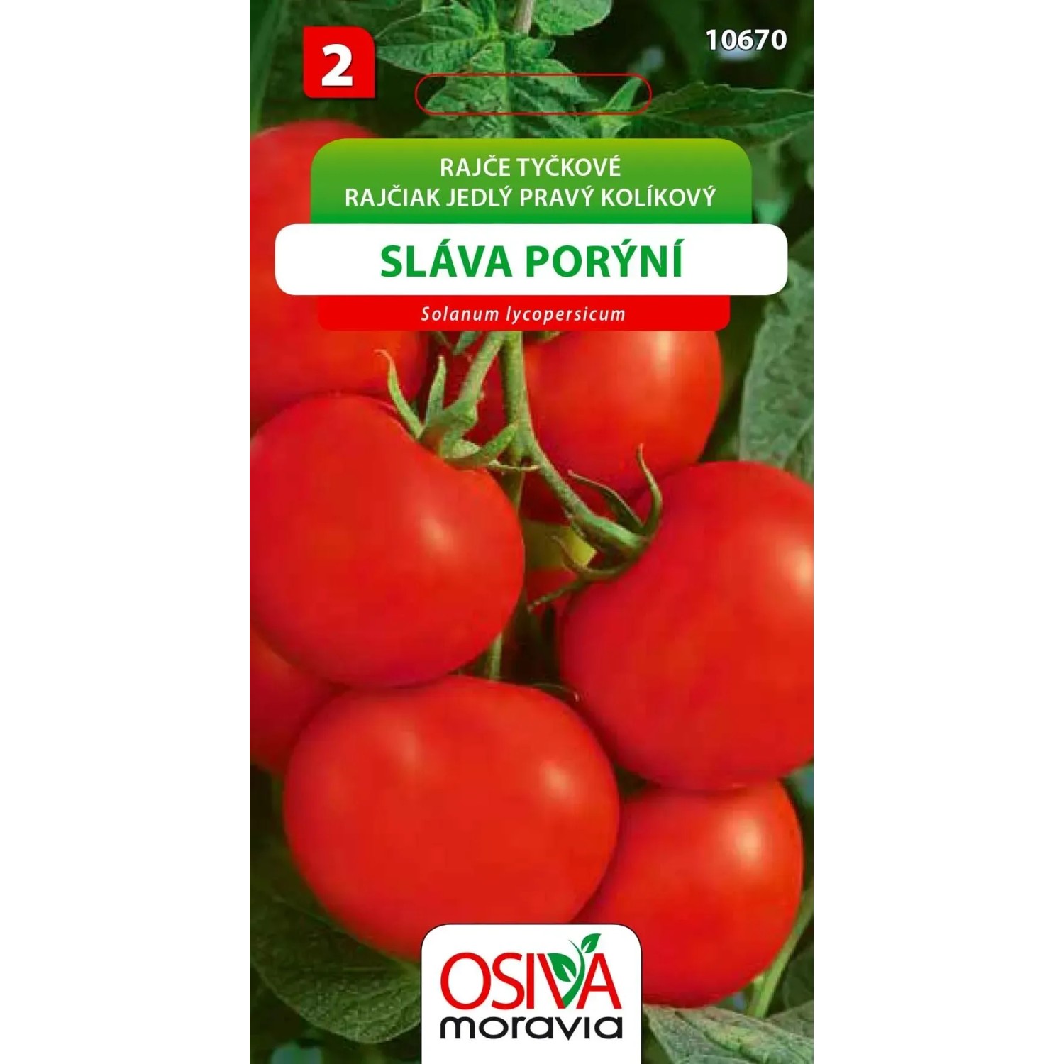 Rajče Tyčkové - Sláva Porýní (Solanum lycopersicum)