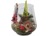 Aranžmá hvězdníku (Hippeastrum hybride) ve skleněné váze, pr. 18 cm Aranžmá hvězdníku (Hippeastrum hybride) ve skleněné váze, pr. 18 cm