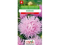 Semínka Astra čínská jehlicovitá vysoká růžová (Callistephus chinensis)