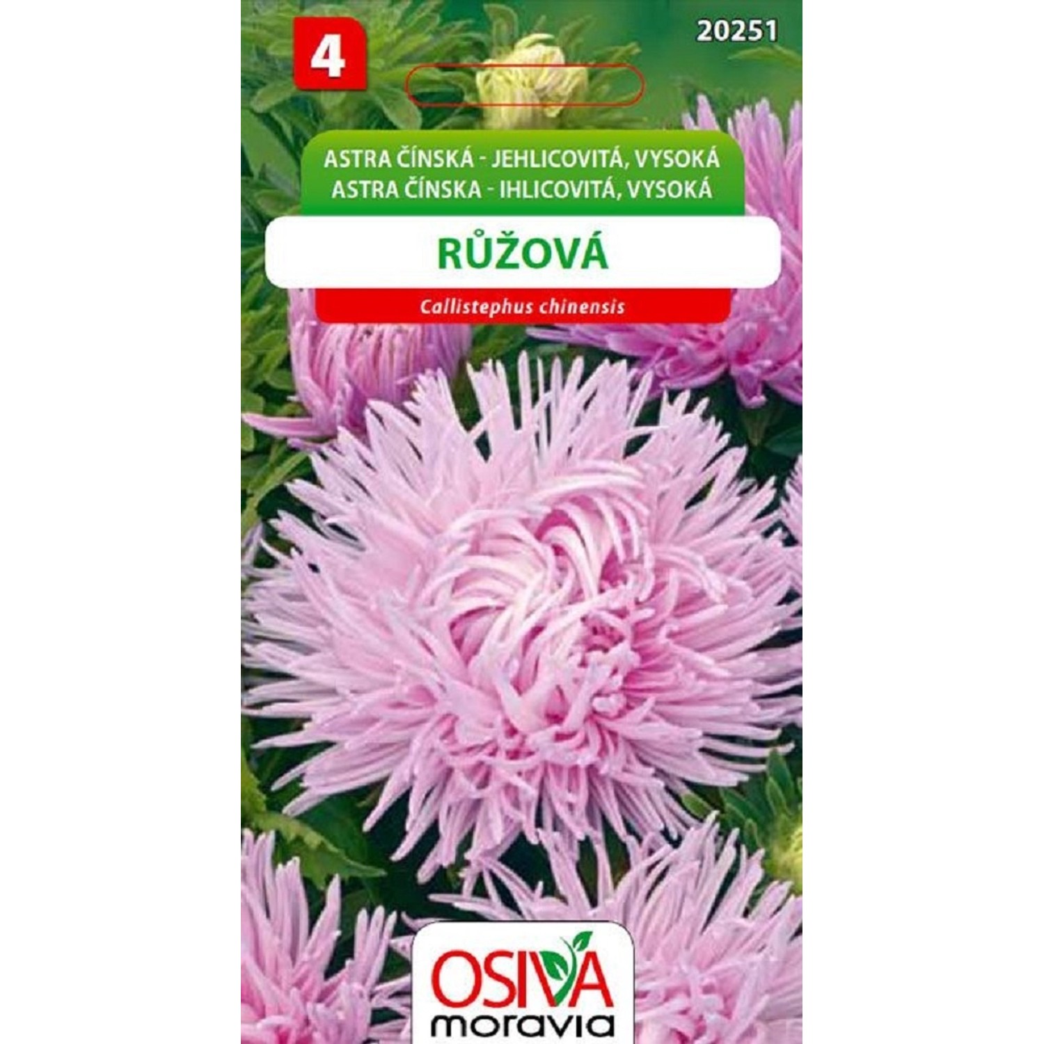 Semínka Astra čínská jehlicovitá vysoká růžová (Callistephus chinensis)