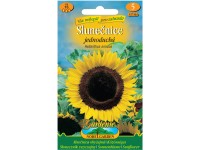 Gardenie Slunečnice roční