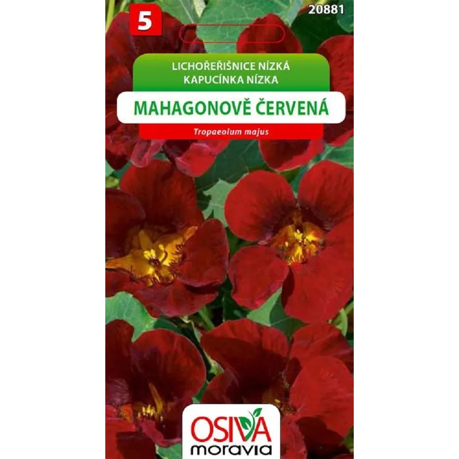 Semínka Lichořešnice mahagonově červená (Tropaeolum nanum)