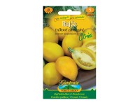 Gardenie Rajče tyčkové citronové CITRINA, žluté
