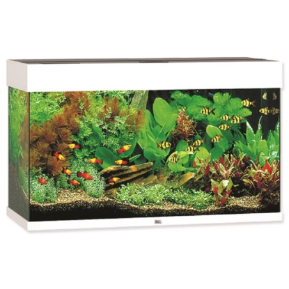 Juwel Aquarium Akvarijní set Rio LED, bílý, 125 l, 81 x 36 x 50 cm