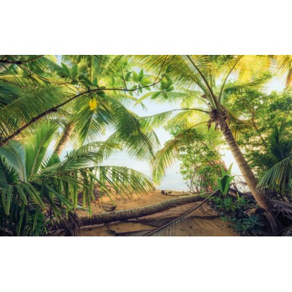 Komar Vliesová fototapeta Piratever 450 x 280 cm